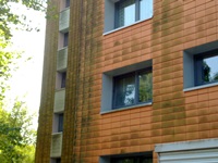 Moosansatz an der Nordfassade